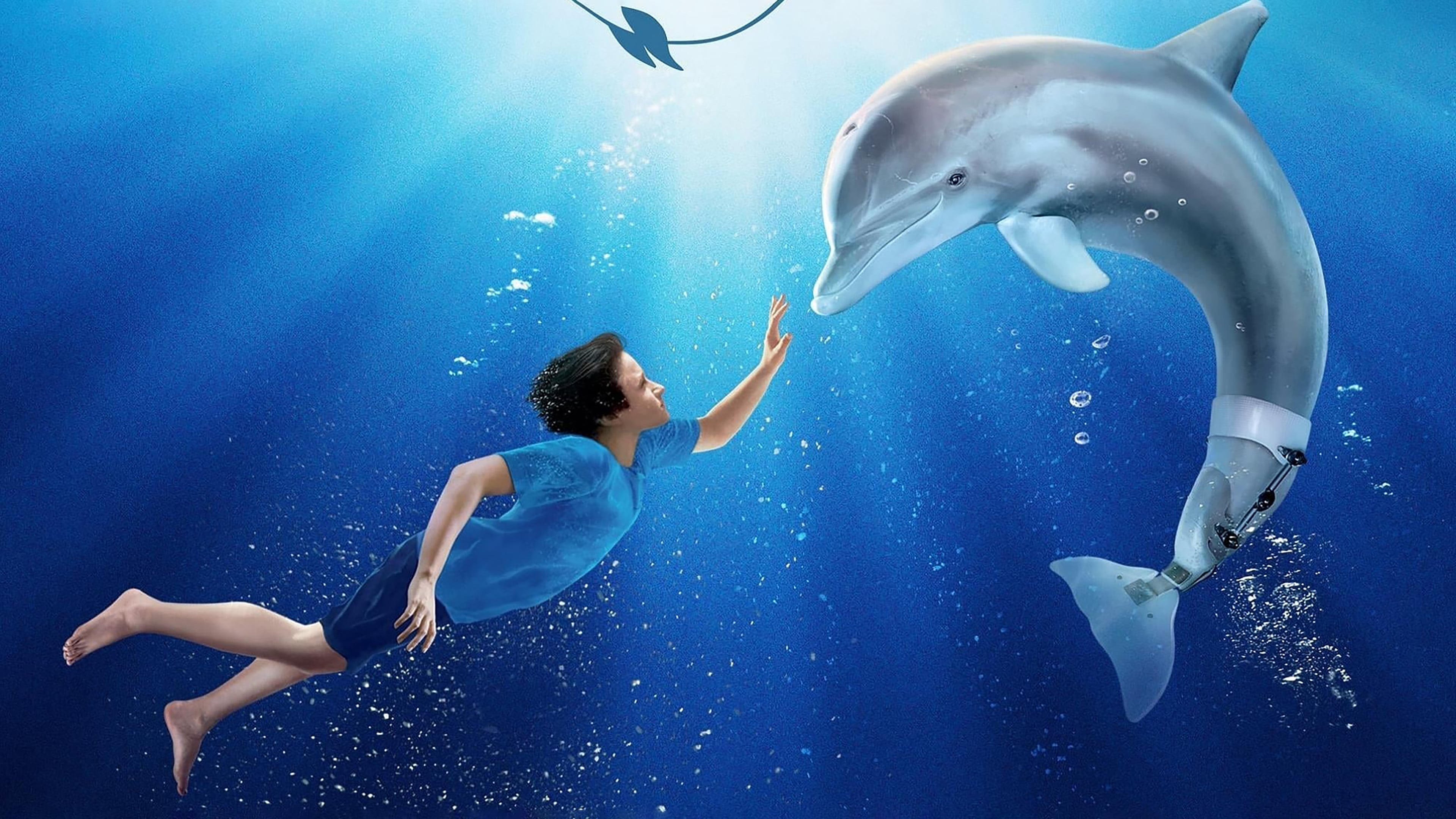 Dolphin Tale (2011) มหัศจรรย์โลมาหัวใจนักสู้ 