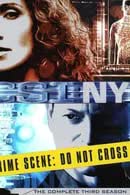 CSI New York Season 3 (2006) หน่วยเฉพาะกิจสืบศพระทึกนิวยอร์ก [พากย์ไทย]