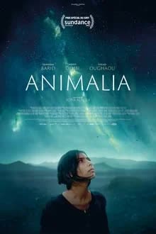 Animalia (2023) [NoSub]