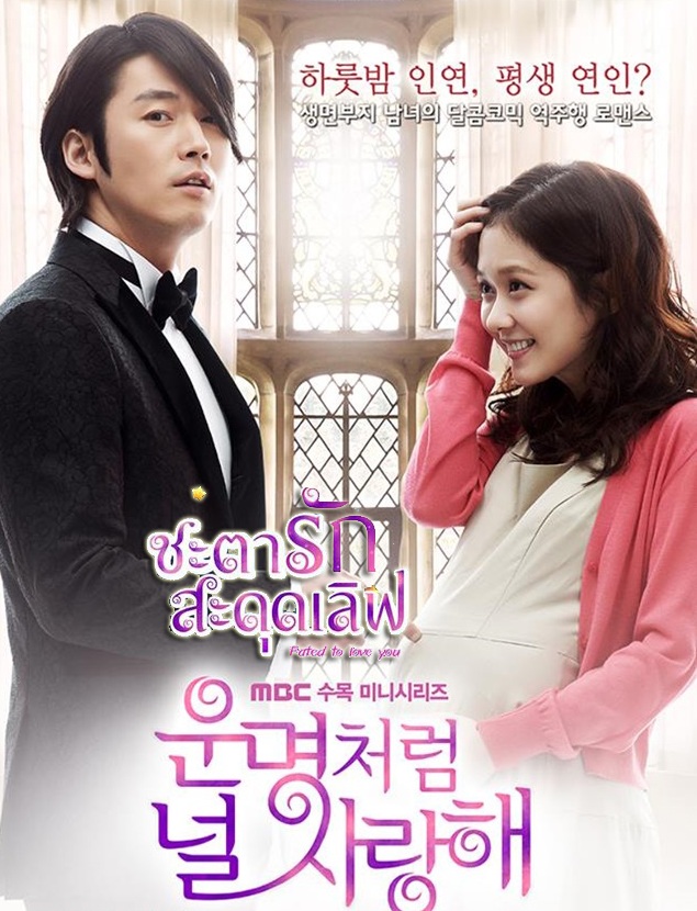 Fated to Love You / You Are My Destiny (2014) : ชะตารัก สะดุดเลิฟ / โชคชะตาพามาปิ๊งรัก | 20 ตอน (จบ) [พากย์ไทย]