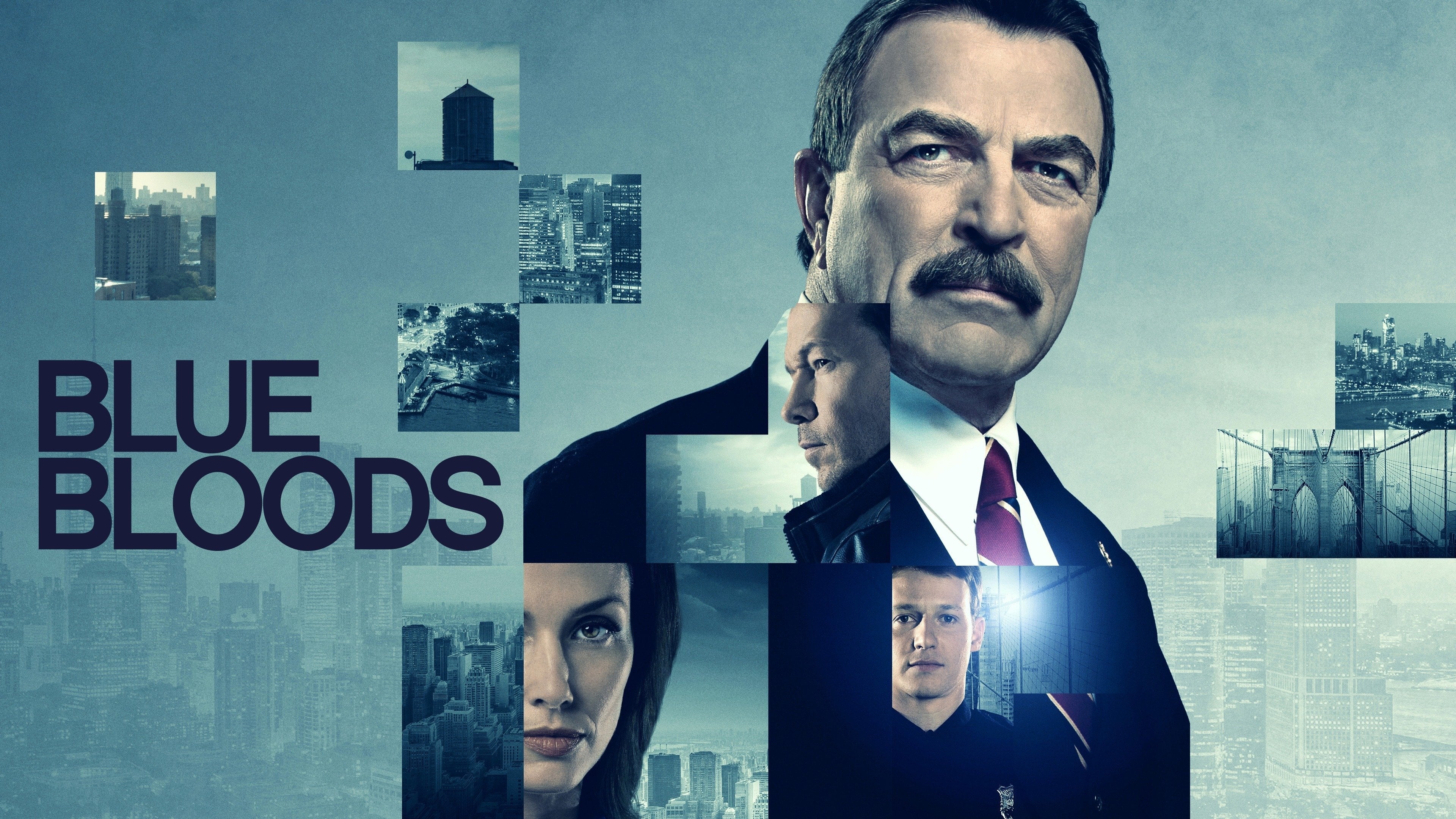 Blue Bloods Season 14 (2024) บลูบลัดส์ สายเลือดผู้พิทักษ์ 