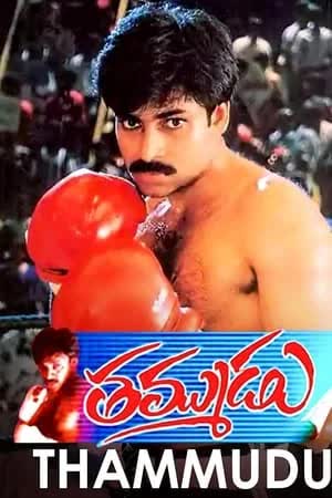 Thammudu (1999) [NoSub]